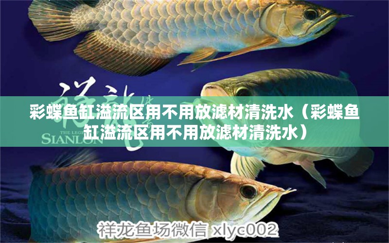 彩蝶鱼缸溢流区用不用放滤材清洗水（彩蝶鱼缸溢流区用不用放滤材清洗水） 雪龙鱼