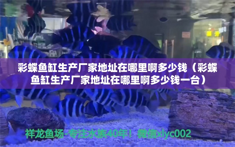 彩蝶鱼缸生产厂家地址在哪里啊多少钱（彩蝶鱼缸生产厂家地址在哪里啊多少钱一台） 银河星钻鱼