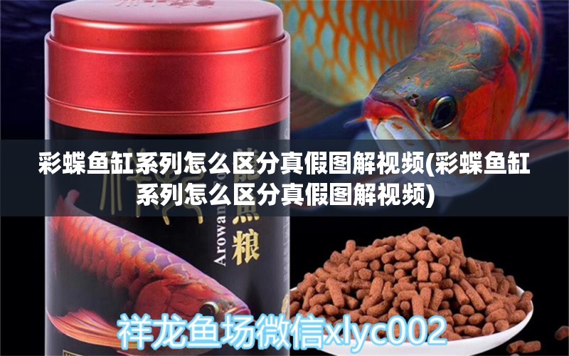 彩蝶鱼缸系列怎么区分真假图解视频(彩蝶鱼缸系列怎么区分真假图解视频) 非洲象鼻鱼 第1张