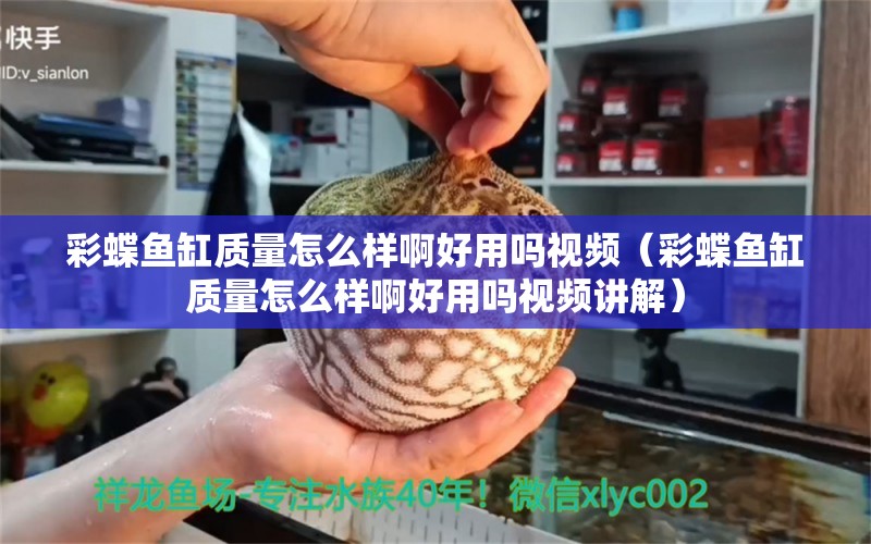 彩蝶鱼缸质量怎么样啊好用吗视频（彩蝶鱼缸质量怎么样啊好用吗视频讲解） 观赏鱼市场（混养鱼）