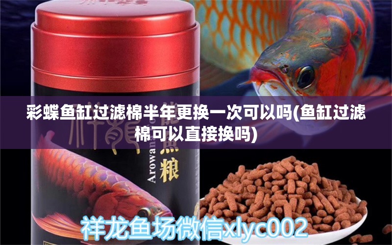 彩蝶鱼缸过滤棉半年更换一次可以吗(鱼缸过滤棉可以直接换吗) 斑马狗头鱼