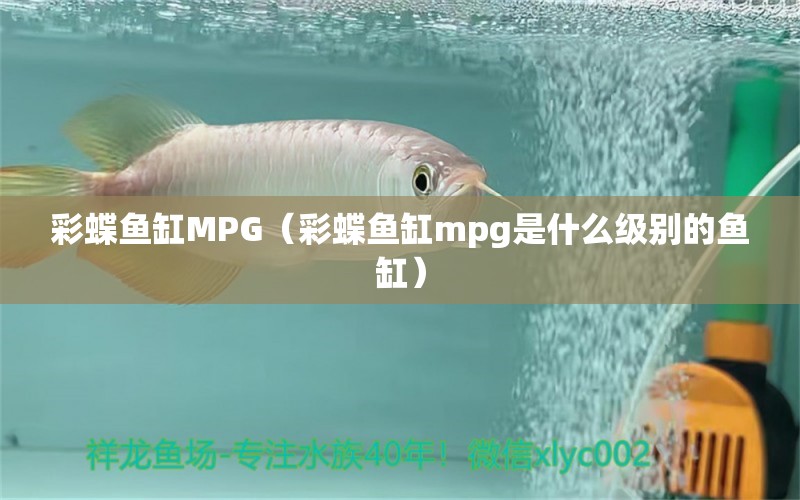 彩蝶鱼缸MPG（彩蝶鱼缸mpg是什么级别的鱼缸）