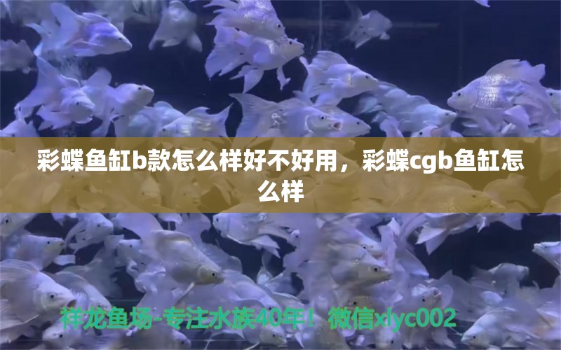 彩蝶鱼缸b款怎么样好不好用，彩蝶cgb鱼缸怎么样