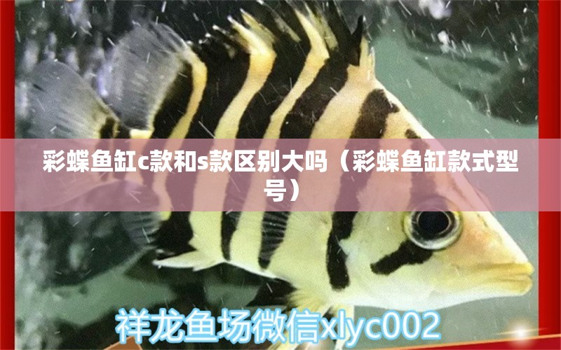 彩蝶鱼缸c款和s款区别大吗（彩蝶鱼缸款式型号）