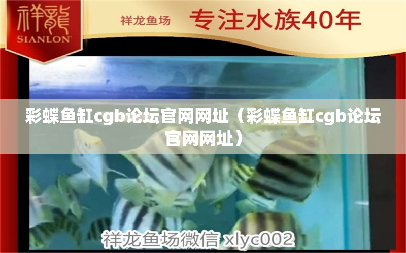 彩蝶鱼缸cgb论坛官网网址（彩蝶鱼缸cgb论坛官网网址） 祥龙水族医院