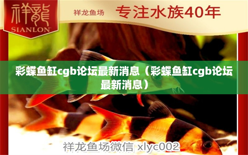 彩蝶鱼缸cgb论坛最新消息（彩蝶鱼缸cgb论坛最新消息） 观赏鱼市场（混养鱼）