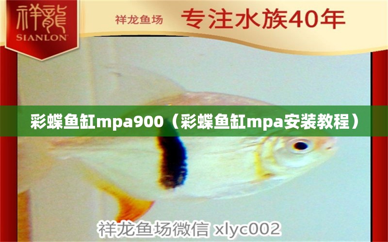 彩蝶鱼缸mpa900（彩蝶鱼缸mpa安装教程）