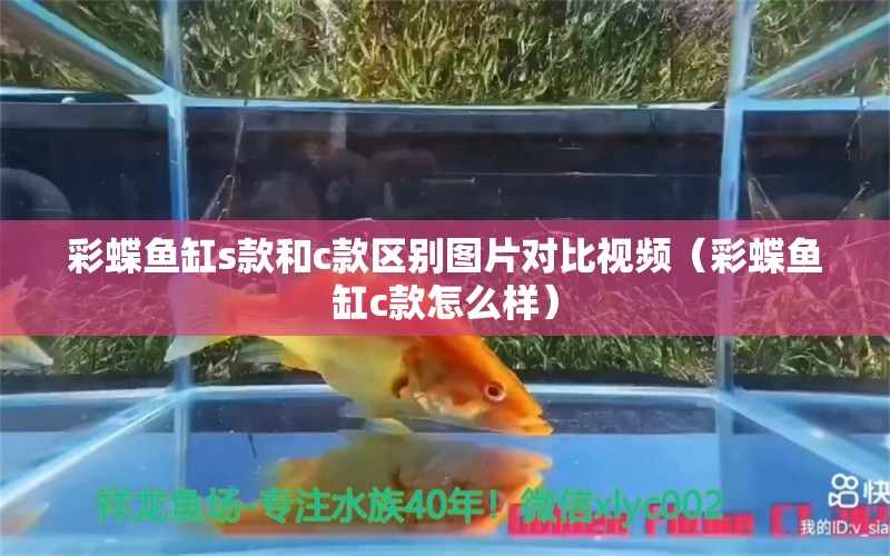 彩蝶鱼缸s款和c款区别图片对比视频（彩蝶鱼缸c款怎么样）