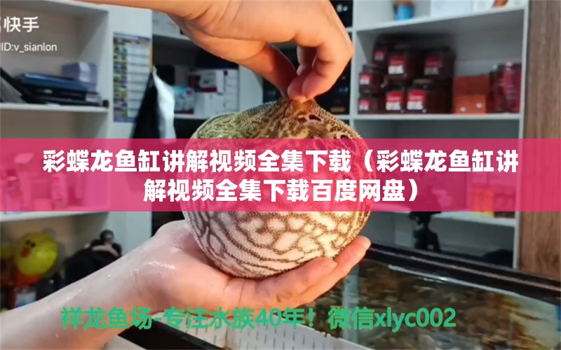 彩蝶龙鱼缸讲解视频全集下载（彩蝶龙鱼缸讲解视频全集下载百度网盘）