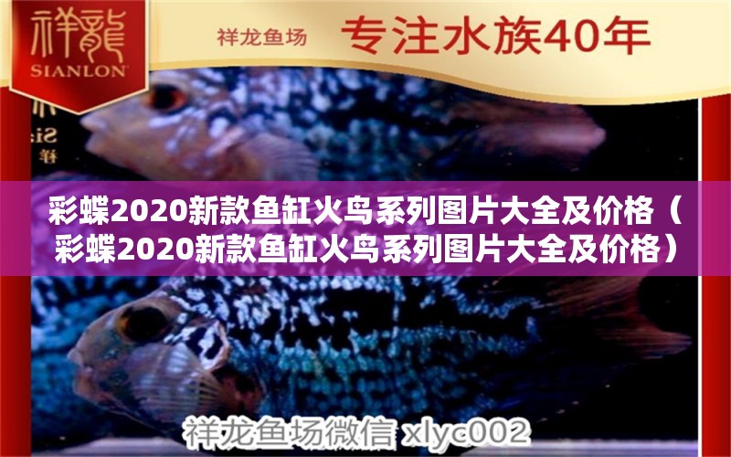 彩蝶2020新款鱼缸火鸟系列图片大全及价格（彩蝶2020新款鱼缸火鸟系列图片大全及价格）