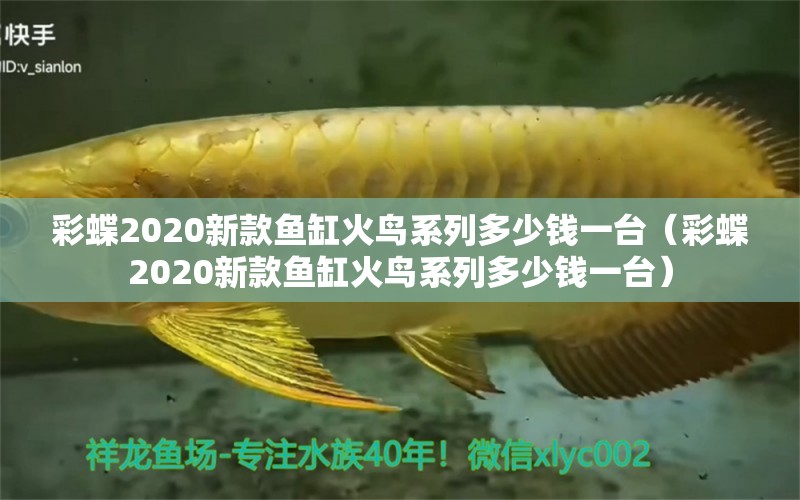 彩蝶2020新款鱼缸火鸟系列多少钱一台（彩蝶2020新款鱼缸火鸟系列多少钱一台）