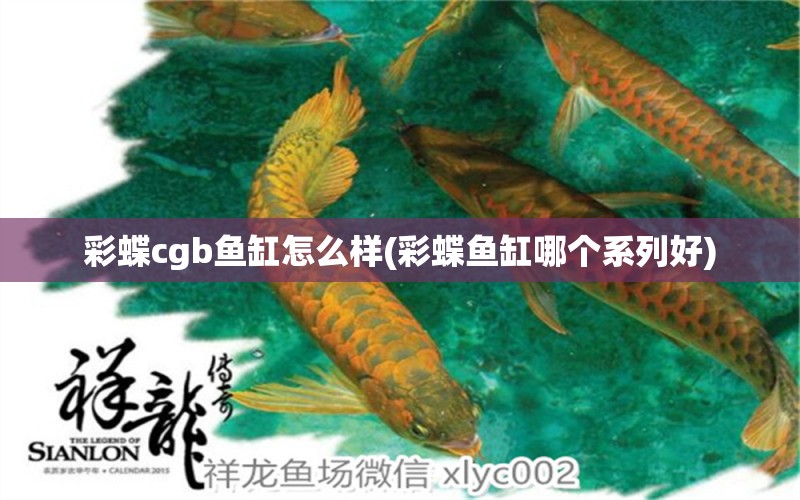 彩蝶cgb鱼缸怎么样(彩蝶鱼缸哪个系列好) 彩鲽鱼缸（彩蝶鱼缸） 第1张