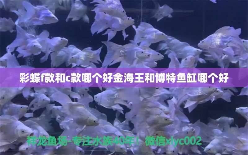 彩蝶f款和c款哪个好金海王和博特鱼缸哪个好