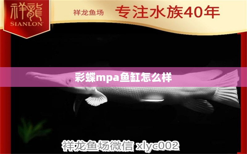 彩蝶mpa鱼缸怎么样 水族问答 第2张