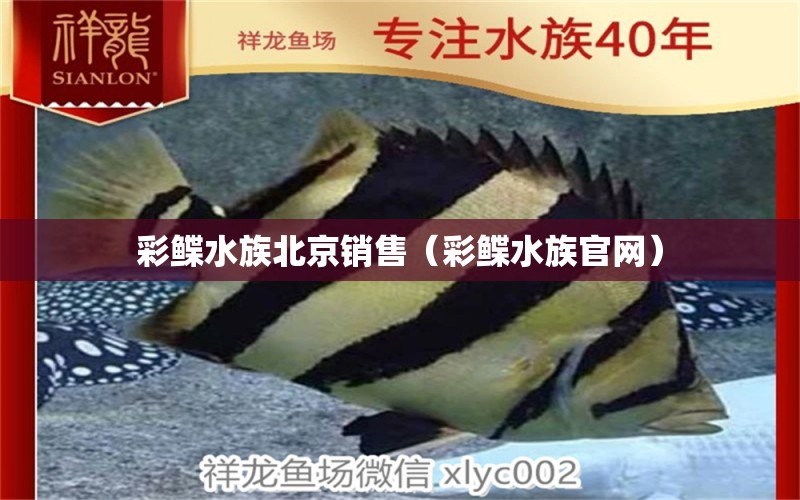 彩鲽水族北京销售（彩鲽水族官网）