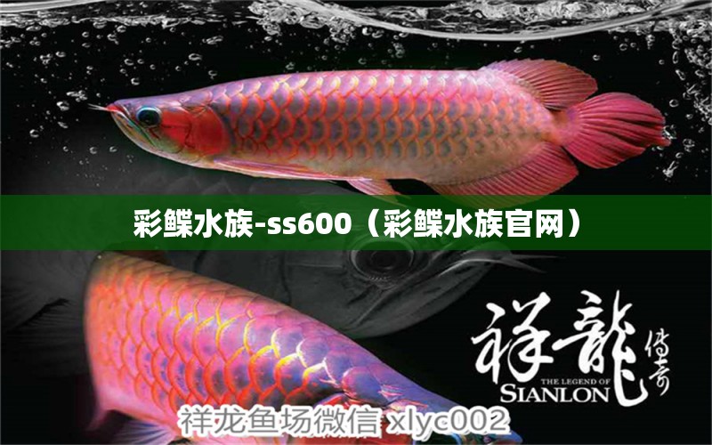 彩鲽水族-ss600（彩鲽水族官网）