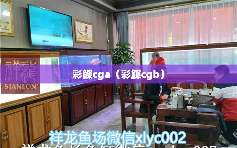 彩鲽cga（彩鲽cgb）