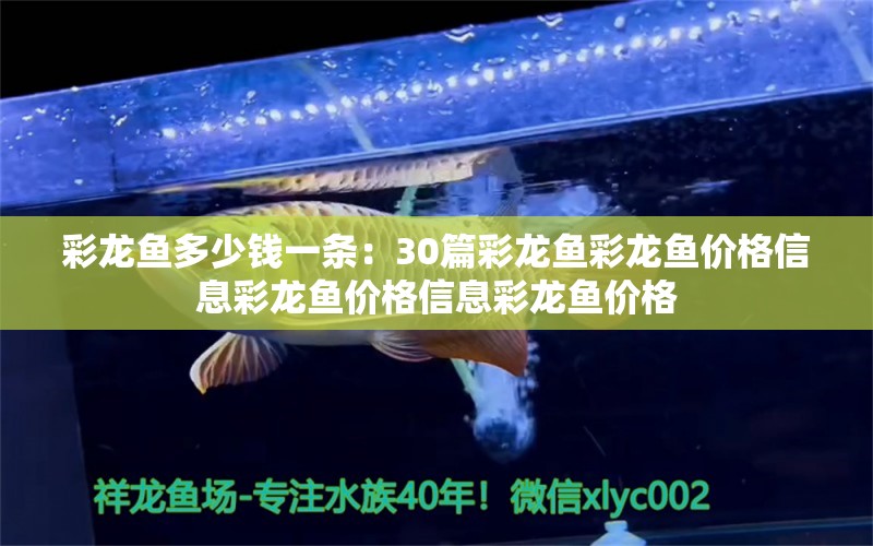 彩龙鱼多少钱一条：30篇彩龙鱼彩龙鱼价格信息彩龙鱼价格信息彩龙鱼价格 龙鱼百科 第2张