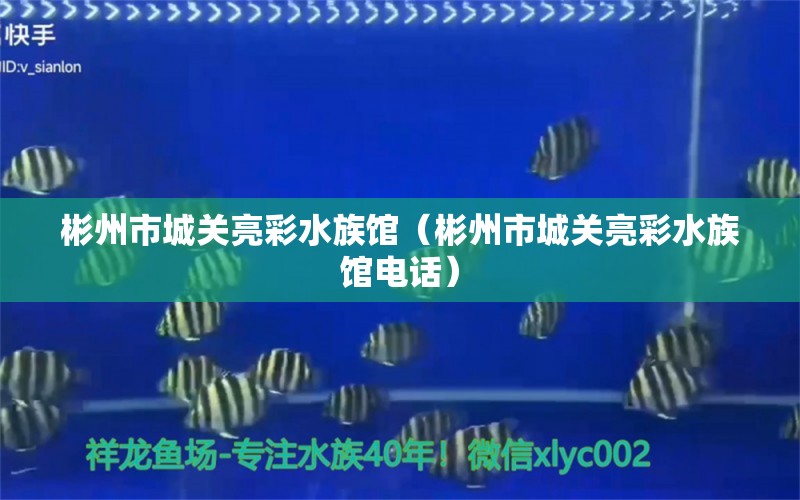 彬州市城关亮彩水族馆（彬州市城关亮彩水族馆电话） 全国水族馆企业名录