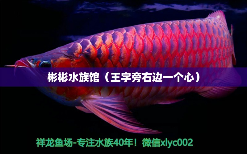 彬彬水族馆（王字旁右边一个心） 全国水族馆企业名录