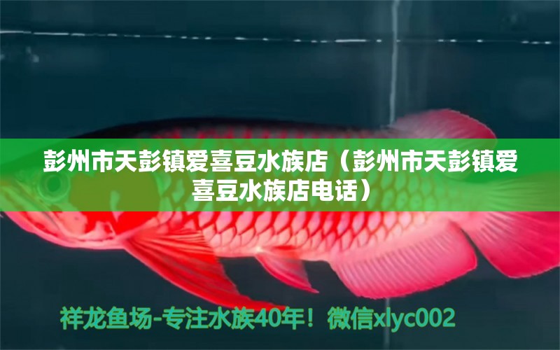 彭州市天彭镇爱喜豆水族店（彭州市天彭镇爱喜豆水族店电话）