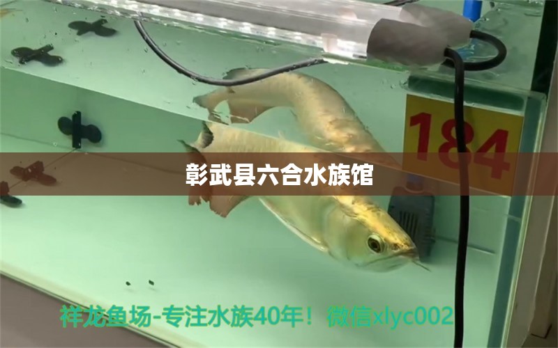 彰武县六合水族馆 全国水族馆企业名录