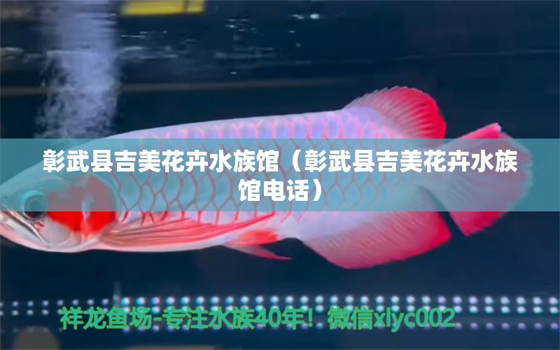 彰武县吉美花卉水族馆（彰武县吉美花卉水族馆电话）