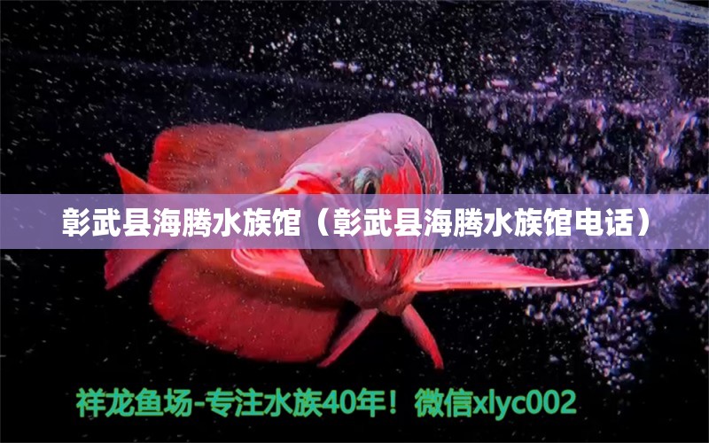 彰武县海腾水族馆（彰武县海腾水族馆电话）