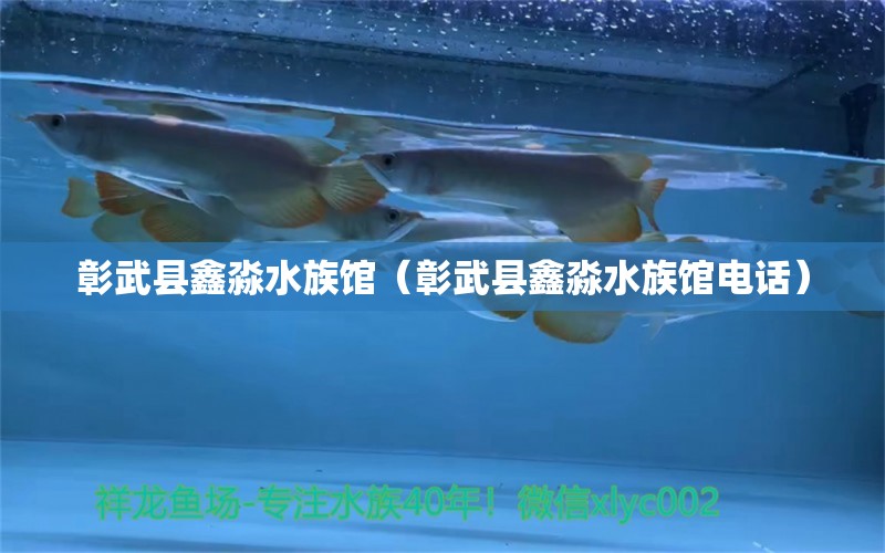 彰武县鑫淼水族馆（彰武县鑫淼水族馆电话）