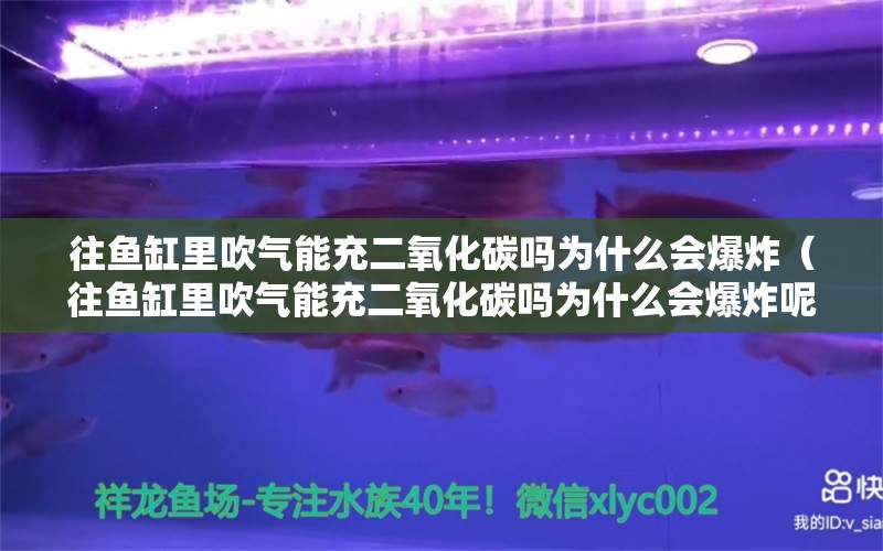 往鱼缸里吹气能充二氧化碳吗为什么会爆炸（往鱼缸里吹气能充二氧化碳吗为什么会爆炸呢）