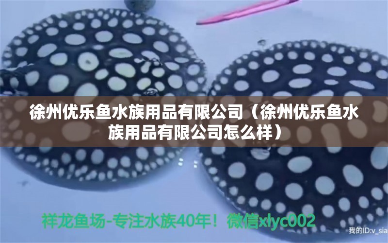 徐州优乐鱼水族用品有限公司（徐州优乐鱼水族用品有限公司怎么样）