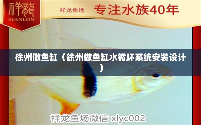 徐州做鱼缸（徐州做鱼缸水循环系统安装设计） 其他品牌鱼缸