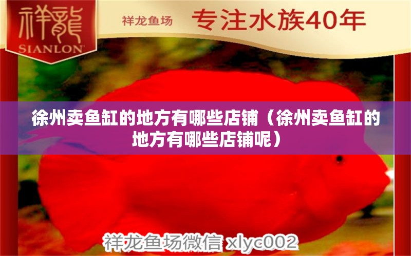 徐州卖鱼缸的地方有哪些店铺（徐州卖鱼缸的地方有哪些店铺呢）