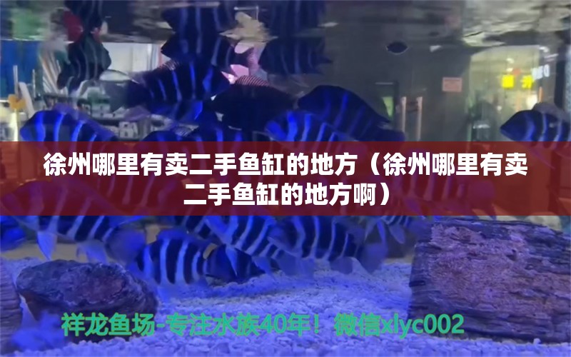 徐州哪里有卖二手鱼缸的地方（徐州哪里有卖二手鱼缸的地方啊）