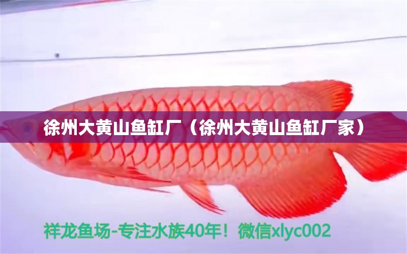 徐州大黄山鱼缸厂（徐州大黄山鱼缸厂家） 其他品牌鱼缸