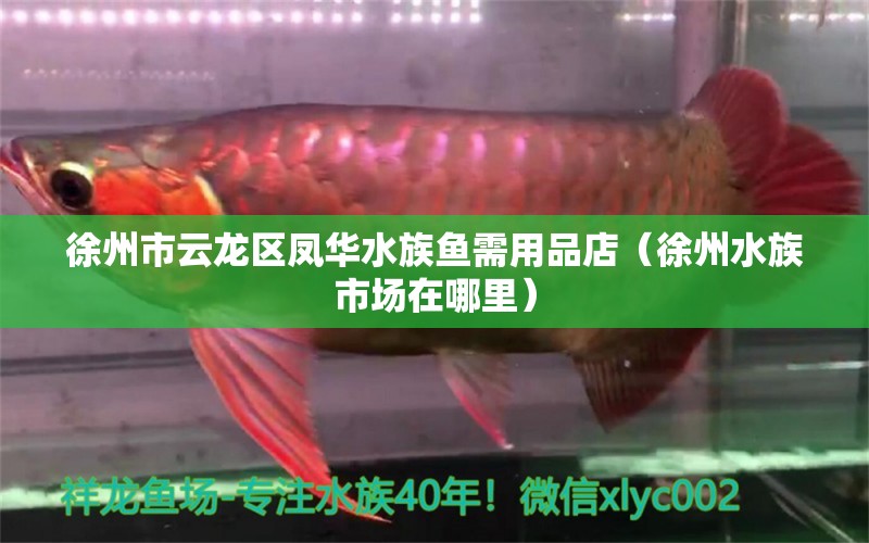 徐州市云龙区凤华水族鱼需用品店（徐州水族市场在哪里） 全国水族馆企业名录