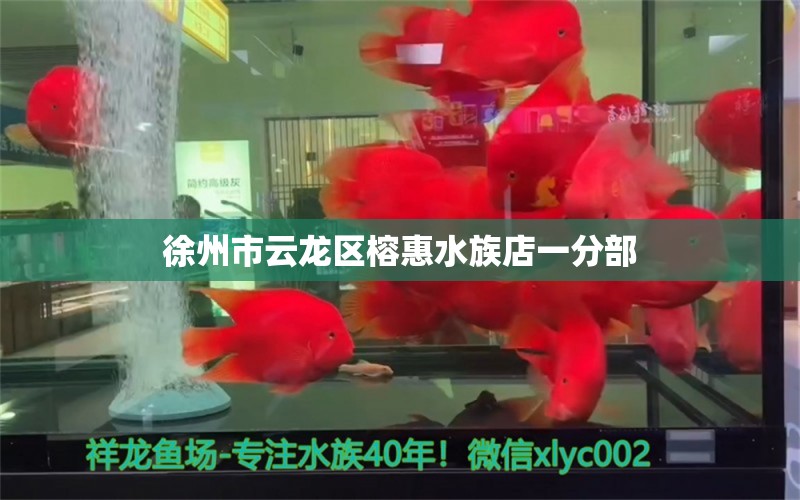 徐州市云龙区榕惠水族店一分部