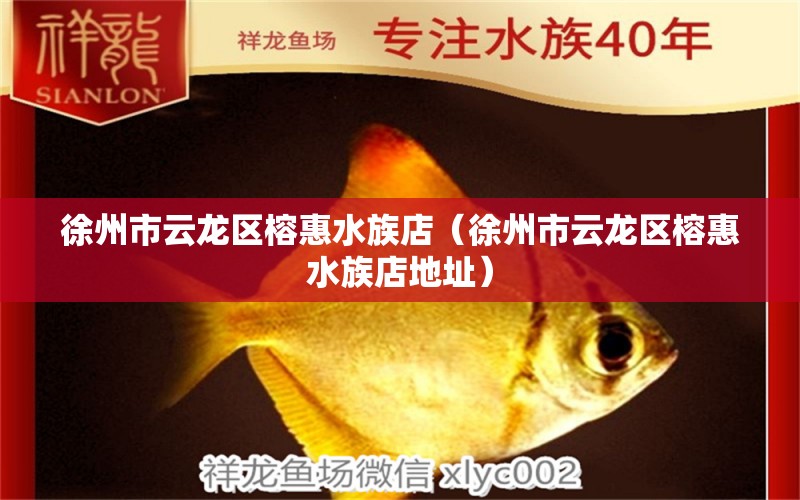 徐州市云龙区榕惠水族店（徐州市云龙区榕惠水族店地址） 全国水族馆企业名录