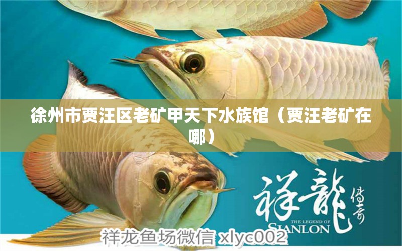 徐州市贾汪区老矿甲天下水族馆（贾汪老矿在哪）