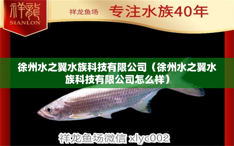 徐州水之翼水族科技有限公司（徐州水之翼水族科技有限公司怎么样）