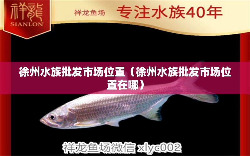 徐州水族批发市场位置（徐州水族批发市场位置在哪）