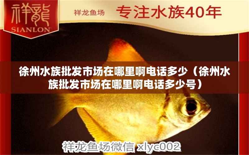 徐州水族批发市场在哪里啊电话多少（徐州水族批发市场在哪里啊电话多少号）