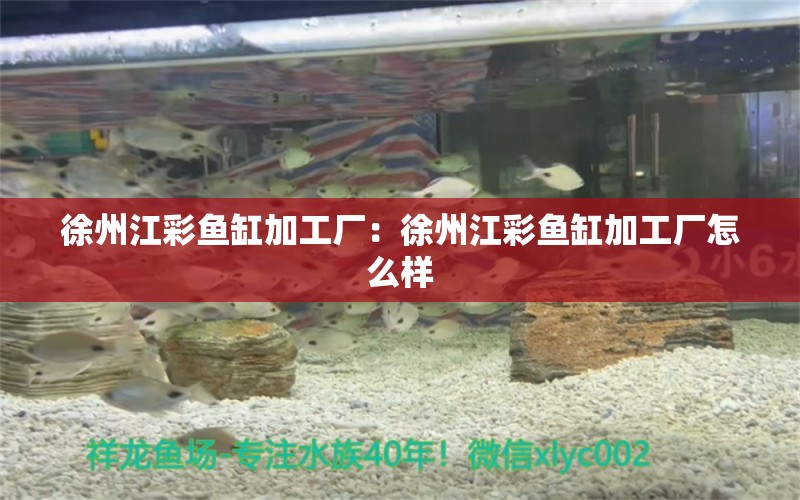 徐州江彩鱼缸加工厂：徐州江彩鱼缸加工厂怎么样 鱼缸百科 第1张