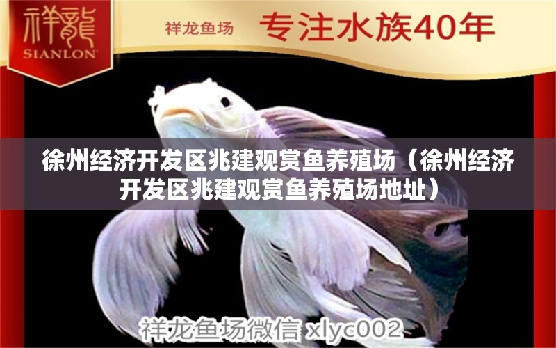 徐州经济开发区兆建观赏鱼养殖场（徐州经济开发区兆建观赏鱼养殖场地址）