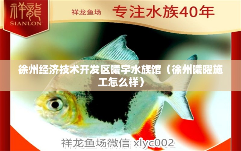 徐州经济技术开发区曦宇水族馆（徐州曦曜施工怎么样） 全国水族馆企业名录