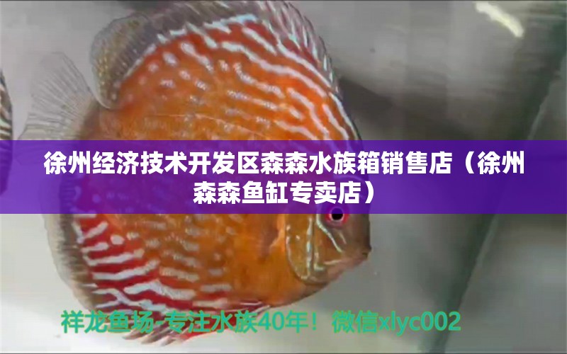 徐州经济技术开发区森森水族箱销售店（徐州森森鱼缸专卖店） 鱼缸/水族箱