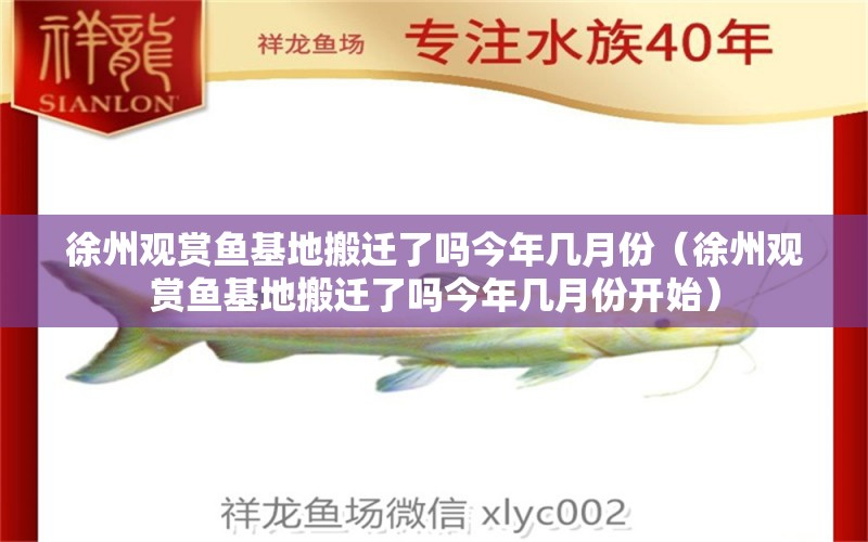 徐州观赏鱼基地搬迁了吗今年几月份（徐州观赏鱼基地搬迁了吗今年几月份开始）