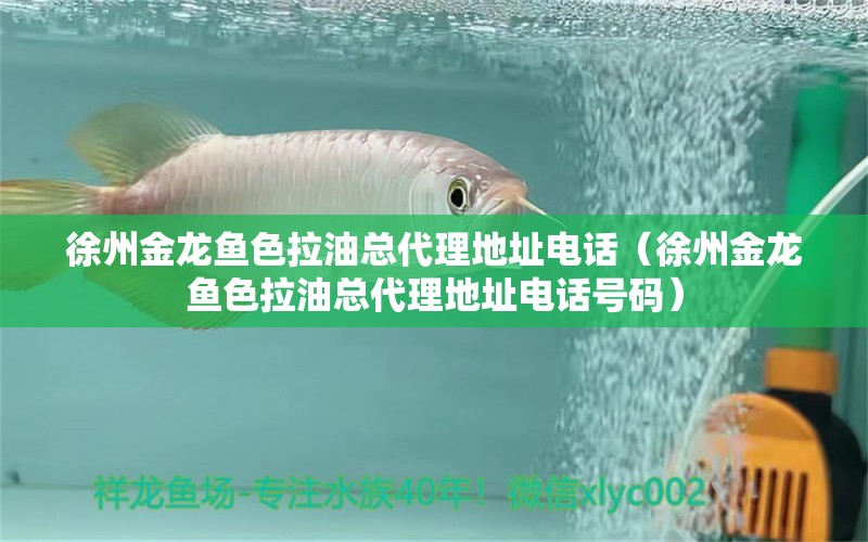 徐州金龙鱼色拉油总代理地址电话（徐州金龙鱼色拉油总代理地址电话号码）