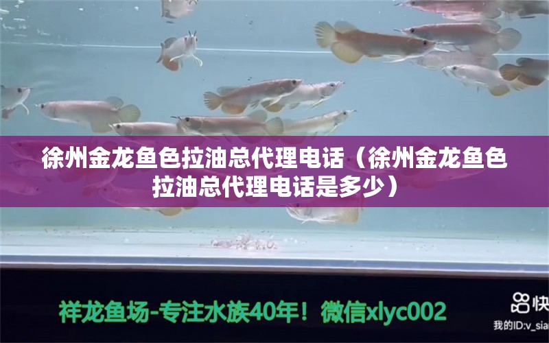 徐州金龙鱼色拉油总代理电话（徐州金龙鱼色拉油总代理电话是多少） 白化巴西龟（白巴）