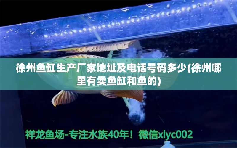 徐州鱼缸生产厂家地址及电话号码多少(徐州哪里有卖鱼缸和鱼的) 鹦鹉鱼 第1张